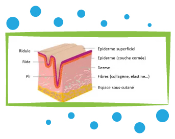 INJECTION-DE-PRP