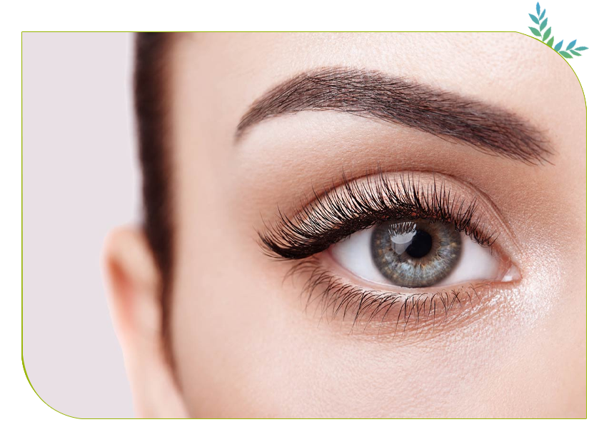 Rajeunissement du regard